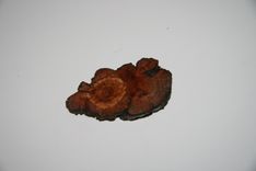 Wooden Brooch Large Natural Unique 4 small