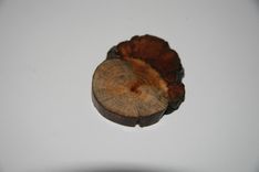 Wooden Brooch Small Natural Unique 5 small
