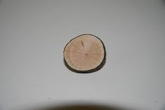Wooden Brooch Small Natural Unique 6 small