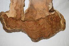Maple Burl Natural Wall Hanging 4 small