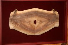 Horned Dilemma - Wall Art -Walnut 2 small