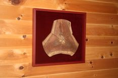 Three Of A Kind -Wall Art - Walnut 1 small