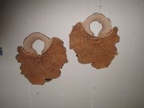 2 Maple Burls 1 small