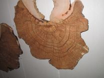2 Maple Burls 3 small