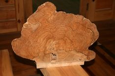 Decorative Maple Burl 1 small