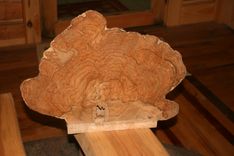 Decorative Maple Burl 2 small