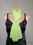 Mint Green Chiffon Scarf 6 small