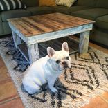Reclaimed Wood Rustic Coffee Table 4 small