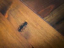 Reclaimed Heart Pine Trestle Dining Table 6 small