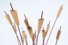 Reeds 3 small