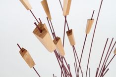 Reeds 4 small
