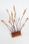 Reeds 5 small