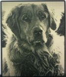 3d Halftone™ 2 small