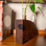 Propagation Vase:  Crimson And Clover 2 small