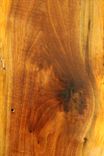 Black Walnut Live Edge Shelf 6 small
