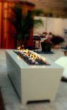 Diego Fire Feature 1 small