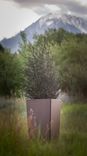 Tall Thin Planter Box 1 small