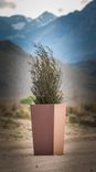 Tall Thin Planter Box 2 small
