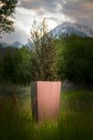Tall Thin Planter Box 3 small
