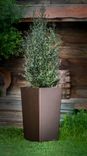 Tall Thin Planter Box 4 small