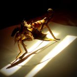 Miniature Copper Sculpture 1 small