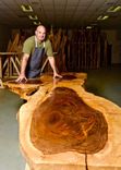 " The 1000 Year Tree " 1 small