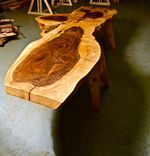 " The 1000 Year Tree " 2 small