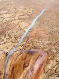 Rustic Glam Modern Spalted Maple Live Edge Coffee Table Sculptural Base 6 small