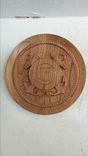 U S Military 11" Service Plaque 5 small
