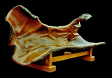 Poway Oak Project 1 small