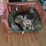Dog Bed 3 small
