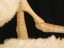 Dining Chair 2 small