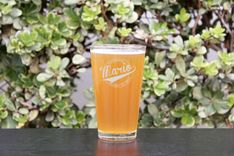 Personalized Beer Glasses, Engraved Pint Glasses, Gifts --Gls-Pint-Mario 1 small