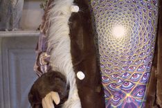 Playa Coat - Ideal For Burning Man - Light Up Collar, Soft Lining 5 small