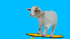 Pets On Skateboards Digital Art 4 small