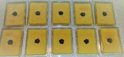 15 Wax Melt Occasion Favors 1 small