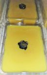 15 Wax Melt Occasion Favors 4 small