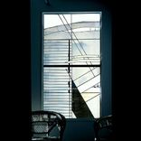 Natural Order Of Things #5 1 small