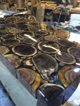 Clear Epoxy Albizia & Tamarind Rounds Coffee Table 5 small
