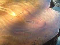 Breakfast Table In Spalted Florida Mahogany 4 small