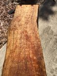 Tropical Almond Waterfall Bench 6 small