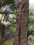 Walking Sticks Or Canes 3 small