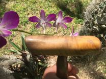 Walking Sticks Or Canes 5 small