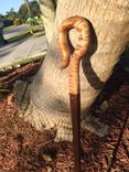 Walking Sticks Or Canes 6 small