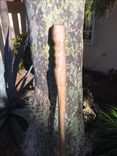 Solid Rosewood Walking Stick 1 small