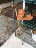 Live Florida Oak Cane 4 small