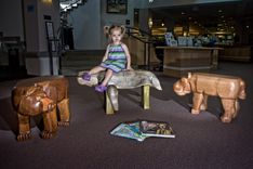 Animal Benches At Portsmouth Library 1 small