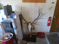 Elk Mount 2 small