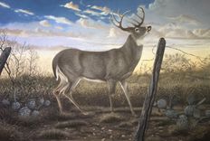 Wildlife Paintings 1 small