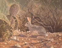 Wildlife Paintings 4 small